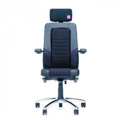RH Axia Focus 24/7 Ergonomic Office Chair
