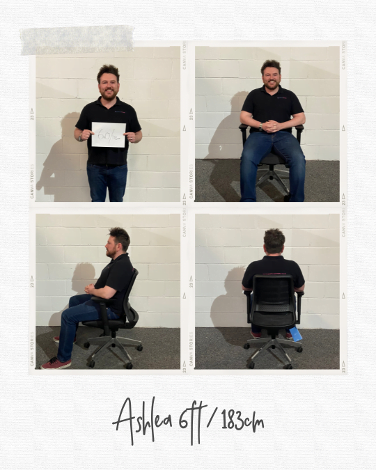 Tonique Ergonomic Office Chair