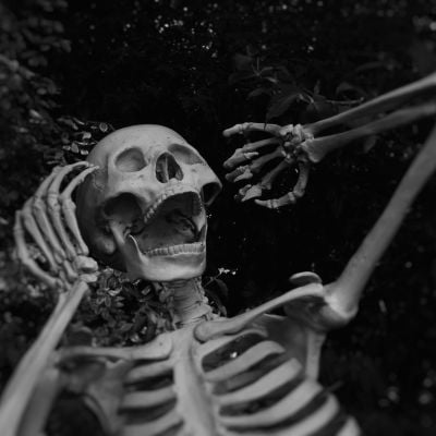 skeleton screaming at not moving enough