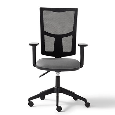 Torasen Saturn Mesh Chair - Height Adjustable Arms